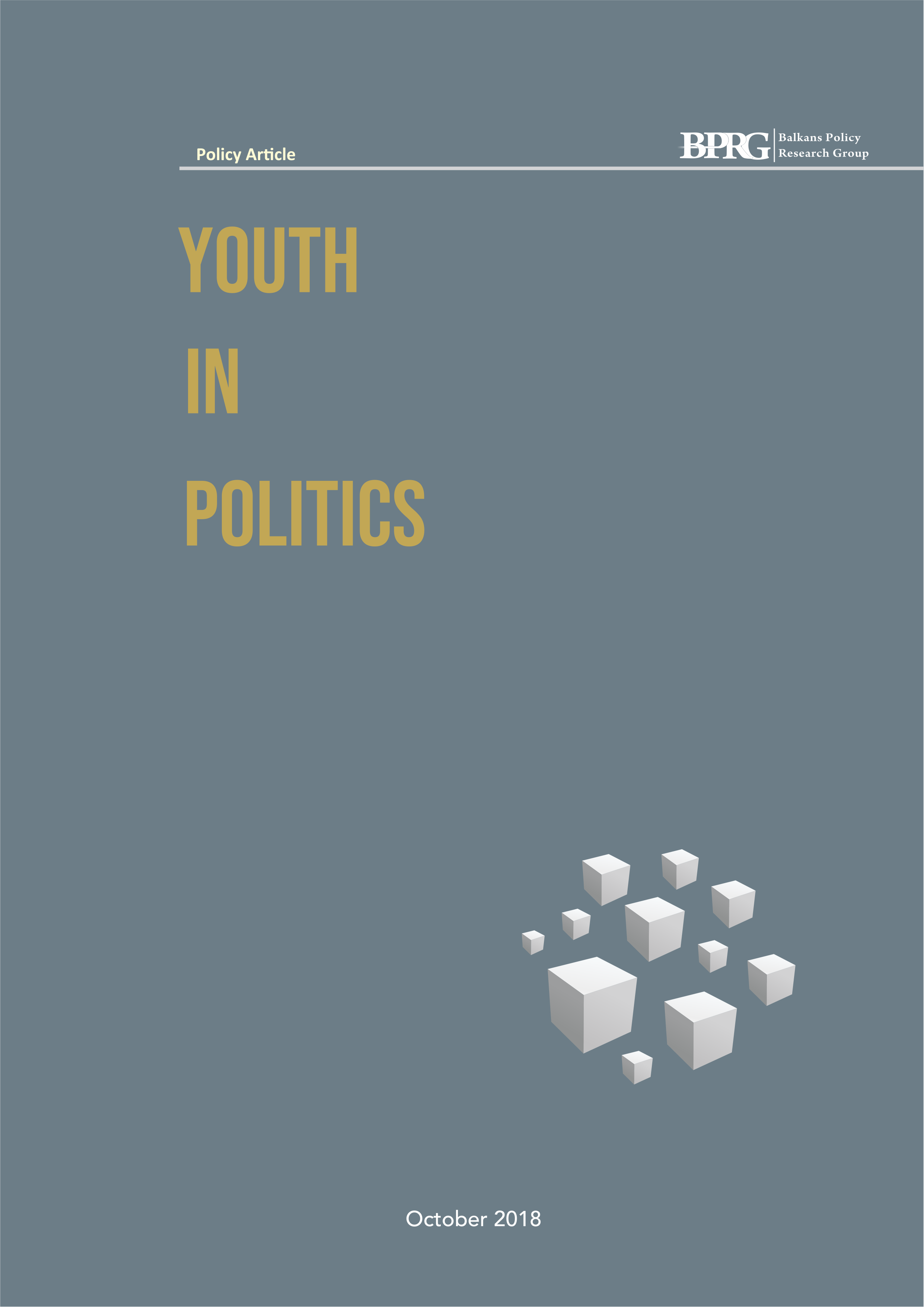 Youth in Politics
